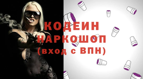 хмурый Алексин
