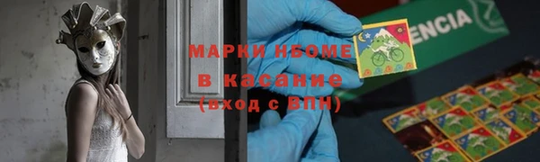 хмурый Алексин