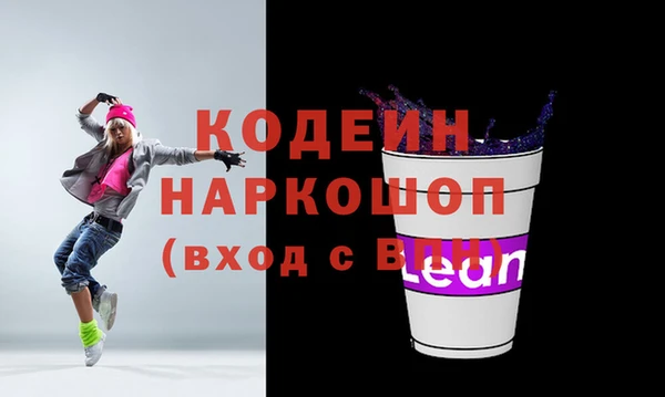 хмурый Алексин