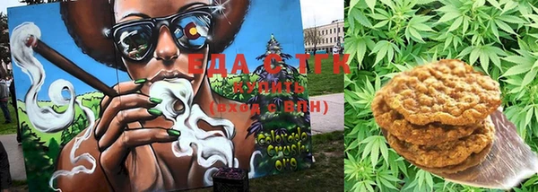 хмурый Алексин