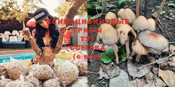 хмурый Алексин