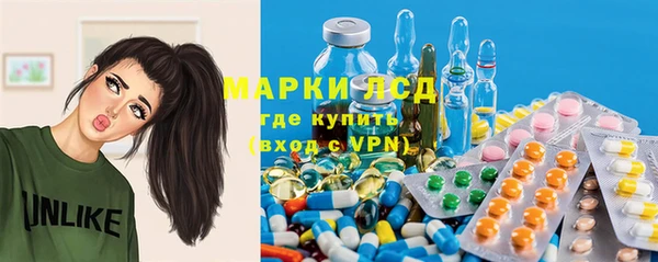 хмурый Алексин