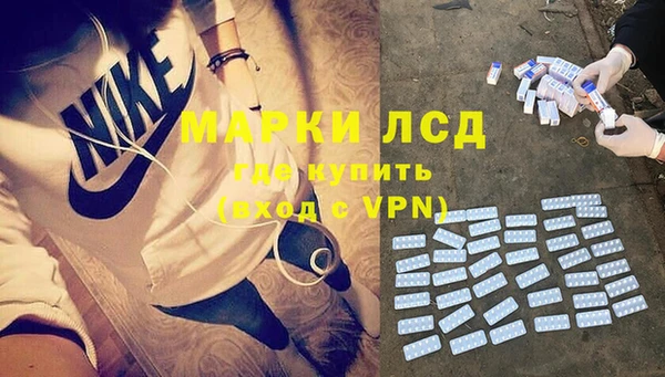 сатива Алзамай